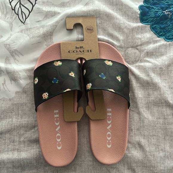 Coach slides - Picture 1 of 4